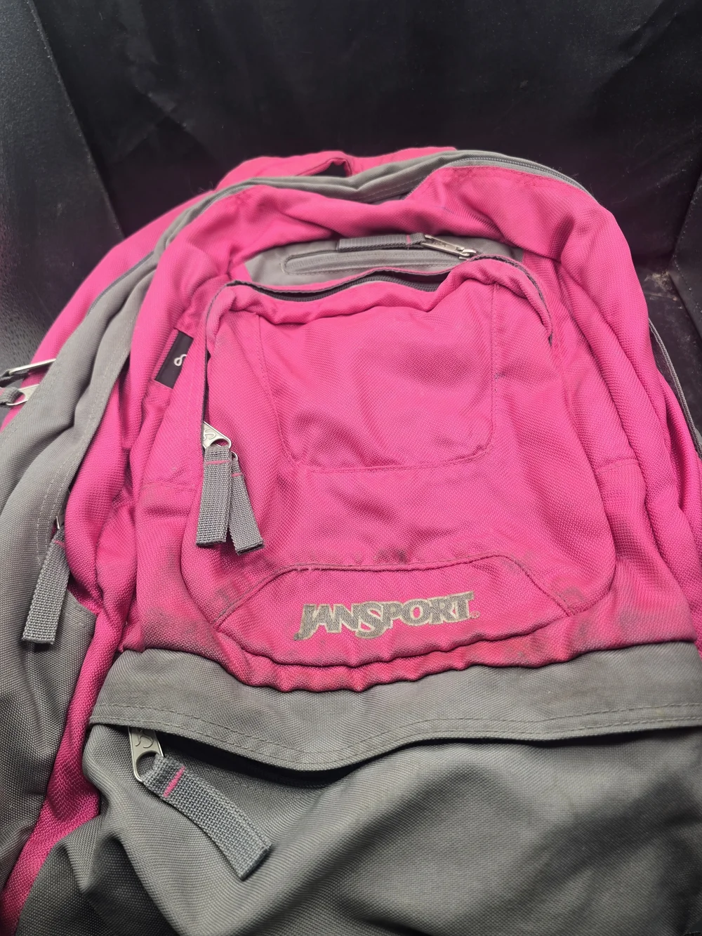 JanSport Women's‎ Pink and Gray Daypack Backpack